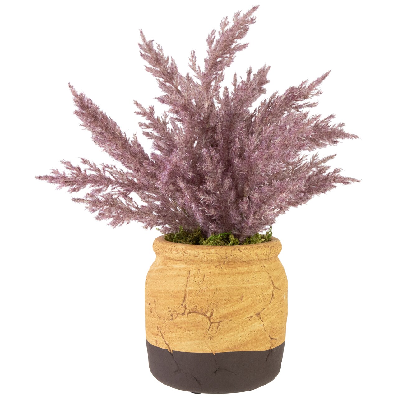 Northlight 12&#x22; Artificial Purple Cypress Plant in a Ceramic Pot